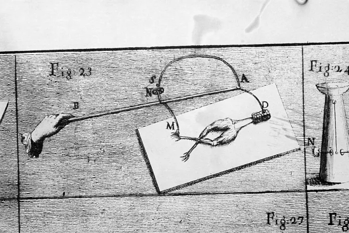 Framed Print : Illustration of Galvani's Frog Leg Experiment Framed Print : Illustration of Galvani's Frog Leg Experiment