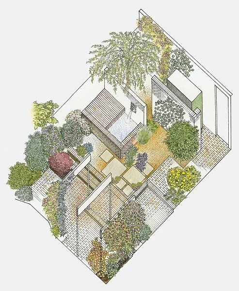 Illustration of a garden containing paved and gravelled areas, fountain and plants