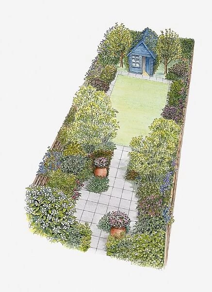 Illustration of a garden containing shed, patio area, lawn, shrubs and containers
