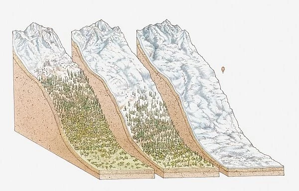 Illustration of global snowlines, on the equator (Mount Kenya); the European Alps, and in polar regions (Mount Vinson, Antarctica)