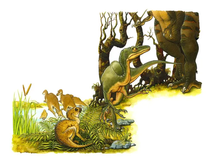 Framed Print : Illustration of green dinosaur at feet of large, predatory bipedal theropod, with small Hypsilophodon dinosaur hiding in leaves, and pair of dinosaurs standing in lake Framed Print : Illustration of green dinosaur at feet of large, predatory bipedal theropod, with small Hypsilophodon dinosaur hiding in leaves, and pair of dinosaurs standing in lake