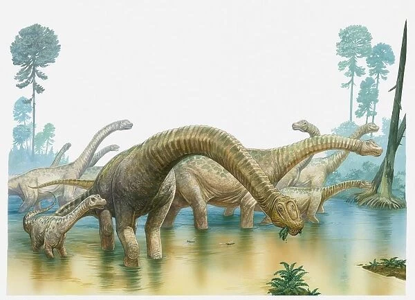 Illustration of a group of sauropod dinosaurs feeding in swampland
