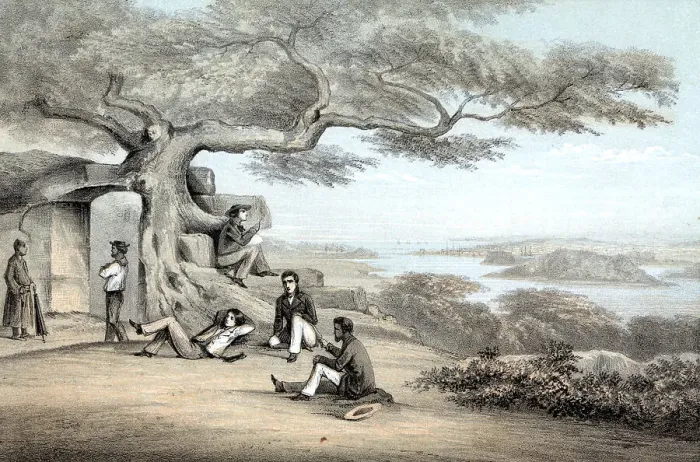 Framed Print : Illustration Of Group Seated Under Tree Framed Print : Illustration Of Group Seated Under Tree