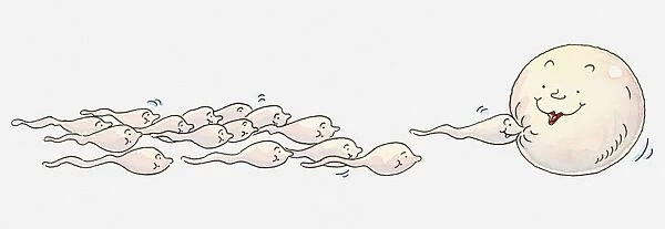 Illustration of group of sperm moving towards an egg, one reaching it first, all with anthropomorphic faces