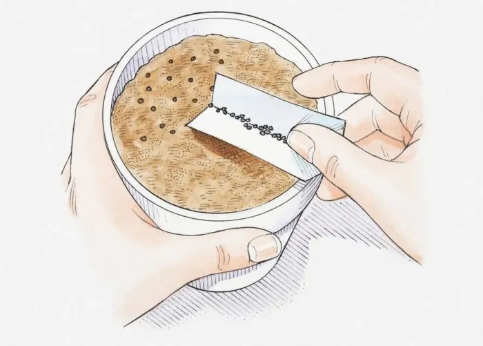 Framed Print : Illustration of hand scattering seeds on compost in plant pot, using a piece of folded paper, close-up