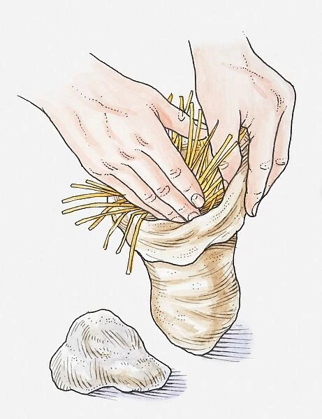 Illustration of hands stuffing sack with barley straw next to a rock, the rock is then attached to the sack and submerged in pond, to prevent growth of algae