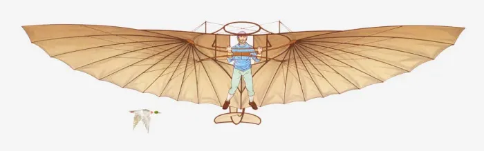 Framed Print : Illustration of a hang glider and a bird in mid-air Framed Print : Illustration of a hang glider and a bird in mid-air