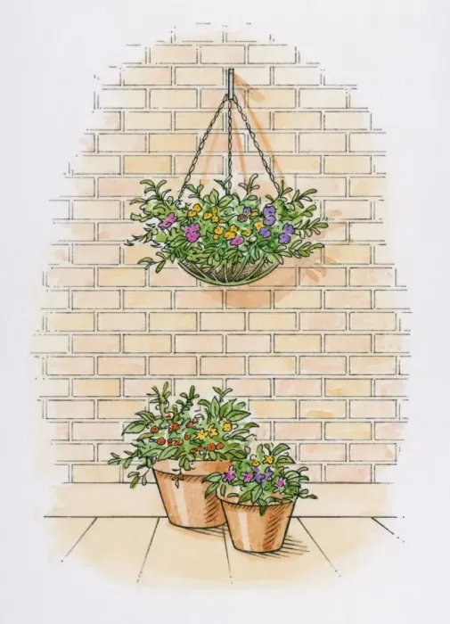 Framed Print : Illustration of hanging basket on brick wall with potted plants on patio below Framed Print : Illustration of hanging basket on brick wall with potted plants on patio below