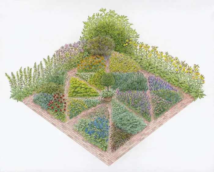 Framed Print : Illustration of herb beds in formal garden including Borage, Marjoram, Chives, Wormwood, Lemon Balm Framed Print : Illustration of herb beds in formal garden including Borage, Marjoram, Chives, Wormwood, Lemon Balm