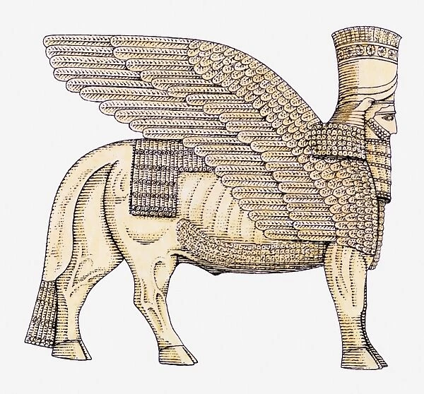 Illustration of human-headed winged bull or Sedu