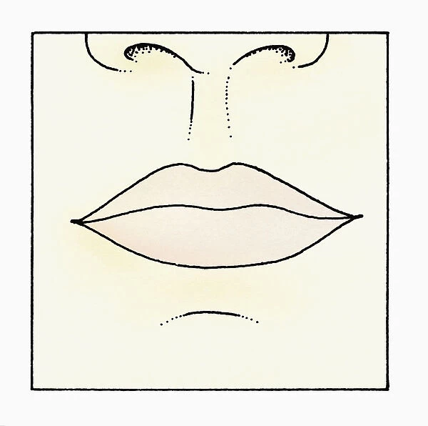 Illustration of human lips and nose, close-up