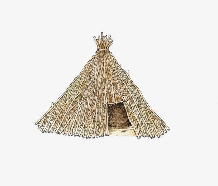 Framed Print : Illustration of hut made from sticks, Kalahari region, southern Africa Framed Print : Illustration of hut made from sticks, Kalahari region, southern Africa