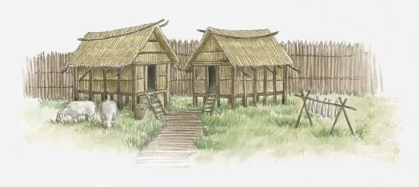 Illustration of huts, and sheep grazing in European village inside enclosure, c. 6000 bc