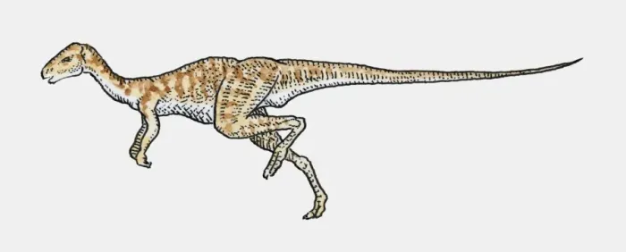 Framed Print : Illustration of Hypsilophodon ornithopod dinosaur Framed Print : Illustration of Hypsilophodon ornithopod dinosaur