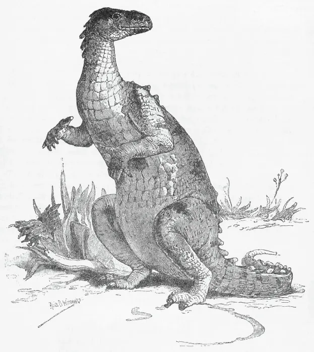 Framed Print : Illustration of Iguanodon Framed Print : Illustration of Iguanodon