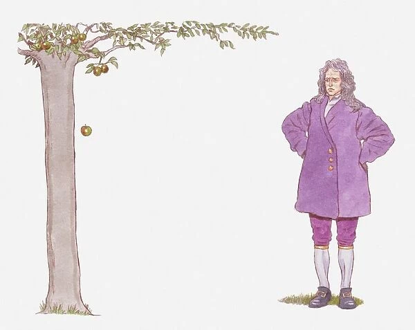 Illustration of Isaac Newton watching apple falling from tree