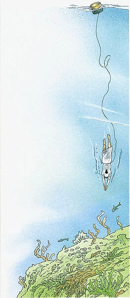 Illustration of Japanese Ama holding breath as she swims toward seabed to forage for pearl oysters with rope tied around waist attached to wooden barrel on surface of water