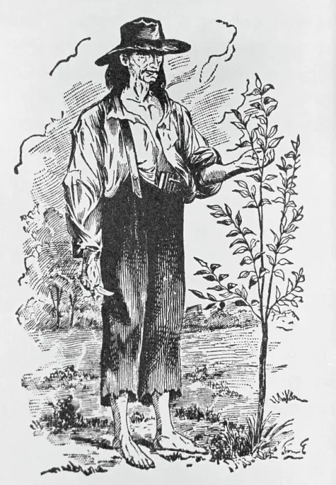 Framed Print : Illustration of Johnny Appleseed Framed Print : Illustration of Johnny Appleseed