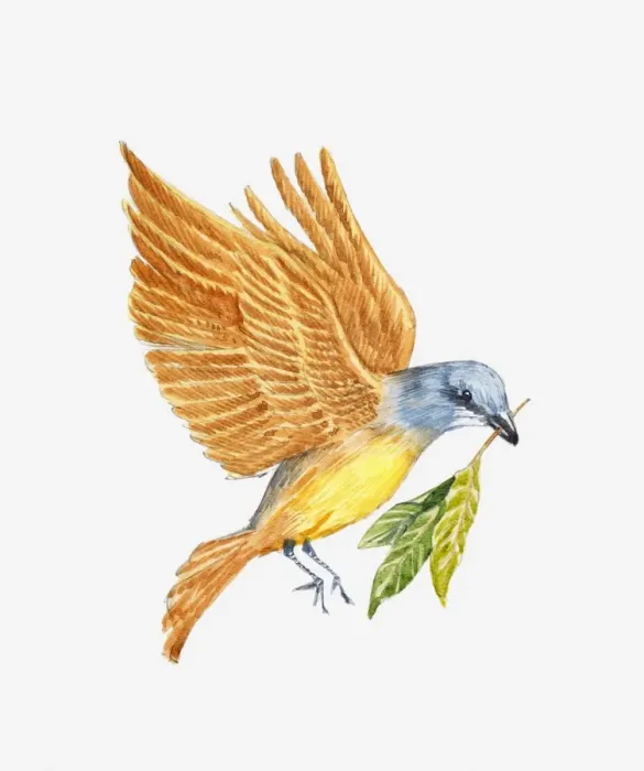 Framed Print : Illustration of Kingbird (Tyrannus sp. ) carrying sprig of laurel, historically an omen for Julius Caesars death Framed Print : Illustration of Kingbird (Tyrannus sp. ) carrying sprig of laurel, historically an omen for Julius Caesars death