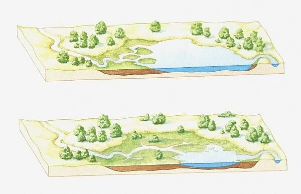 Illustration of a lake being filled with sediment deposited by rivers, eventually forming a marsh, bog or swamp (image sequence)