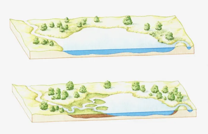Framed Print : Illustration of a lake being filled with sediment deposited by rivers, eventually forming a marsh, bog or swamp (image sequence)