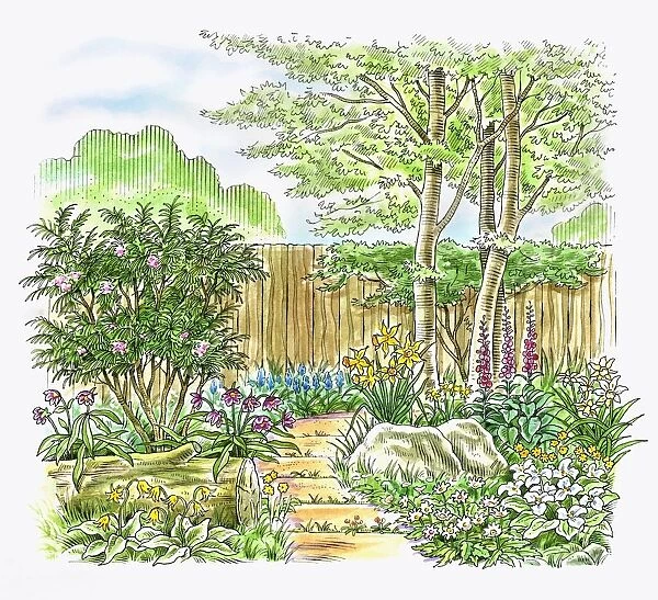 Illustration of a landscaped woodland garden