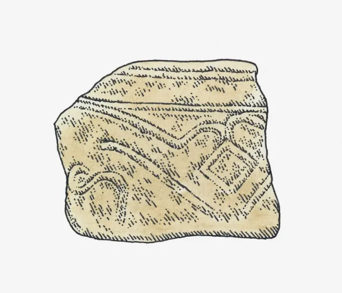 Framed Print : Illustration of a Lapita shard, Polynesia Framed Print : Illustration of a Lapita shard, Polynesia