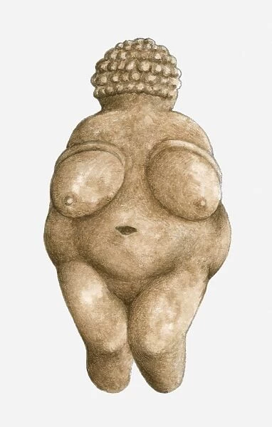 Illustration of limestone Venus of Willendorf
