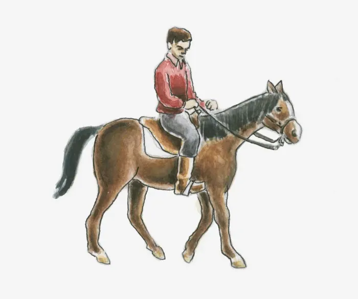 Framed Print : Illustration of man riding a brown horse Framed Print : Illustration of man riding a brown horse