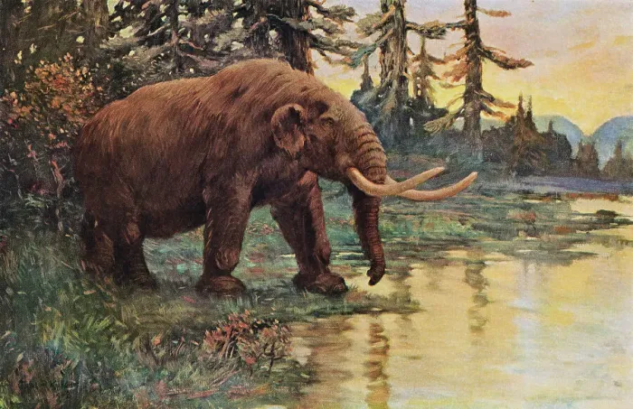 Framed Print : Illustration of Mastodon Walking Toward Lake Framed Print : Illustration of Mastodon Walking Toward Lake