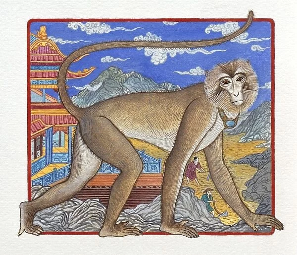 Illustration of Monkey Climbing up the Mountain, representing Chinese Year Of The Monkey