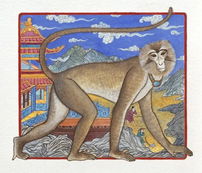 Framed Print : Illustration of Monkey Climbing up the Mountain, representing Chinese Year Of The Monkey Framed Print : Illustration of Monkey Climbing up the Mountain, representing Chinese Year Of The Monkey