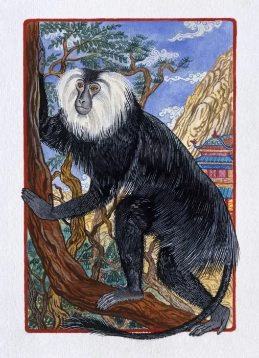 Framed Print : Illustration of Monkey climbing a Tree, representing Chinese Year Of The Monkey Framed Print : Illustration of Monkey climbing a Tree, representing Chinese Year Of The Monkey