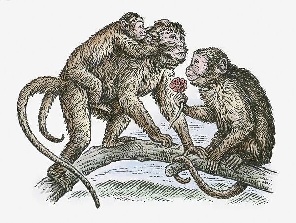 Illustration of monkey family on tree branch
