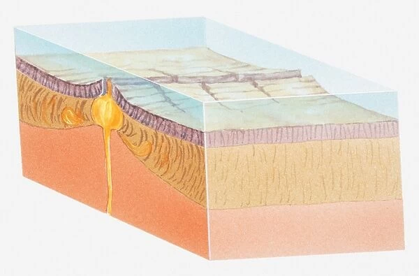 Illustration of oceanic crust