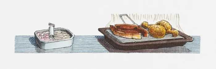 Framed Print : Illustration of open tin of sardines, pork chops and chicken drumsticks on grill tray