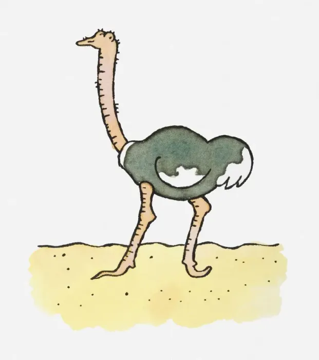 Framed Print : Illustration of Ostrich (Struthio camelus) in desert Framed Print : Illustration of Ostrich (Struthio camelus) in desert