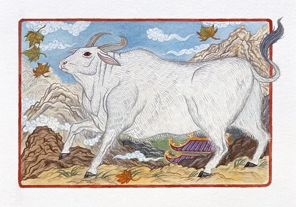 Illustration of Ox on the Way, representing Chinese Year Of The Ox