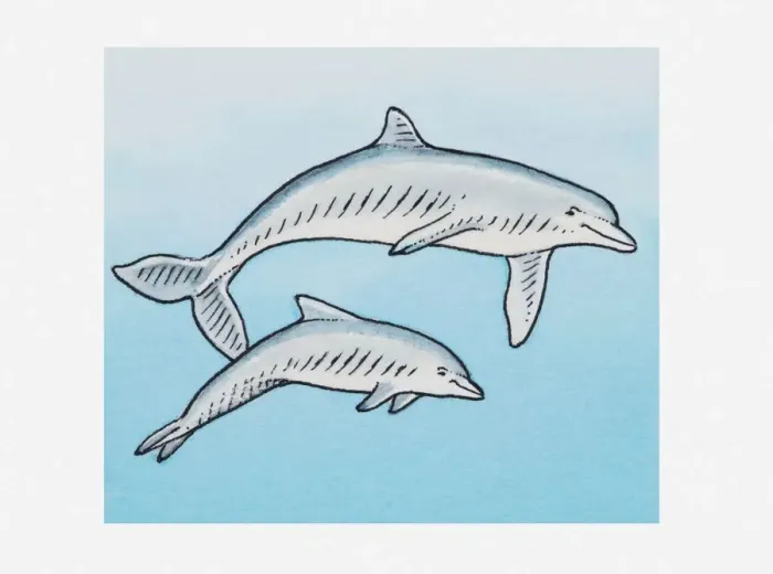 Framed Print : Illustration of pair of dolphins in the water Framed Print : Illustration of pair of dolphins in the water