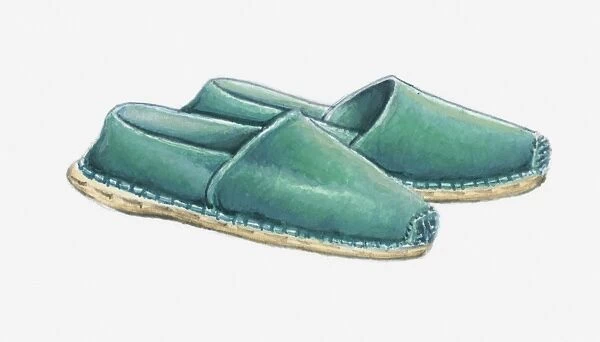 Illustration of a pair of green espadrilles