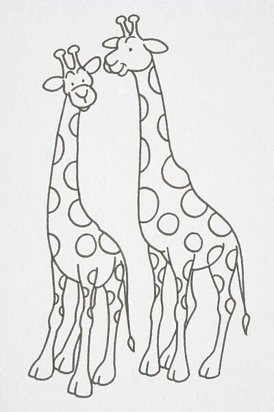 Illustration, pair of smiling Giraffes