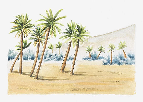 Illustration of palm trees in sand
