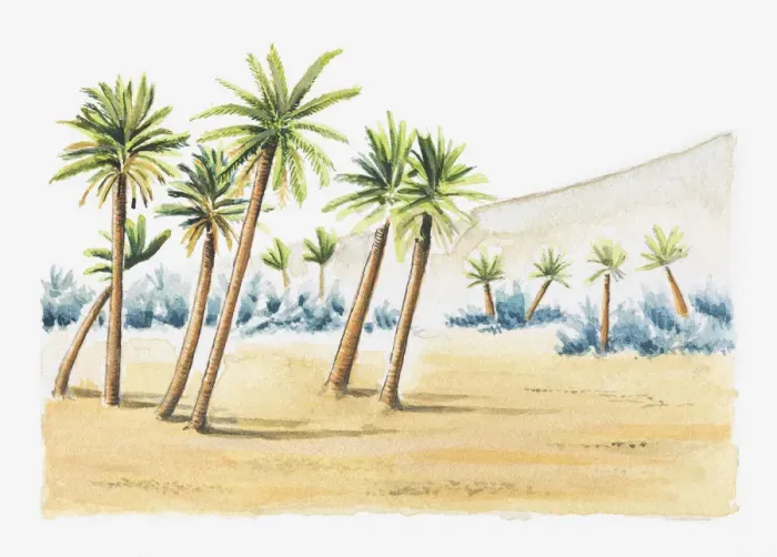 Framed Print : Illustration of palm trees in sand