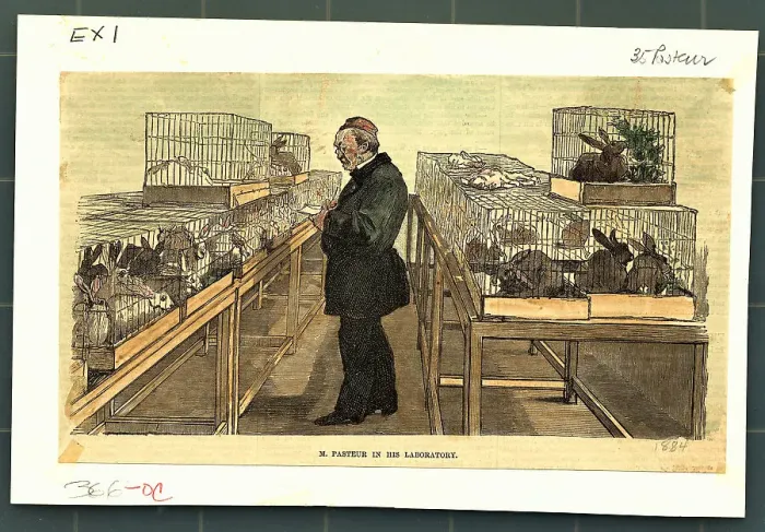 Framed Print : Illustration of Pasteur Taking Notes on Animals in his Laboratory Framed Print : Illustration of Pasteur Taking Notes on Animals in his Laboratory