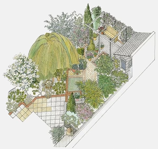 Illustration of a paved garden, containing various trees, including a weeping willow, shrubs, a pergola and a shed