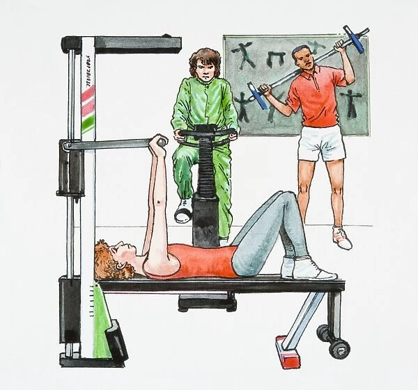 Illustration of people exercising in gym using strength training bench, exercise bike, and weightlifting