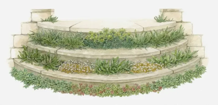 Framed Print : Illustration of plants and flowers growing on garden steps Framed Print : Illustration of plants and flowers growing on garden steps