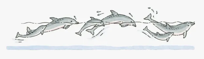 Framed Print : Illustration of pod of adult and young Dolphins swimming Framed Print : Illustration of pod of adult and young Dolphins swimming