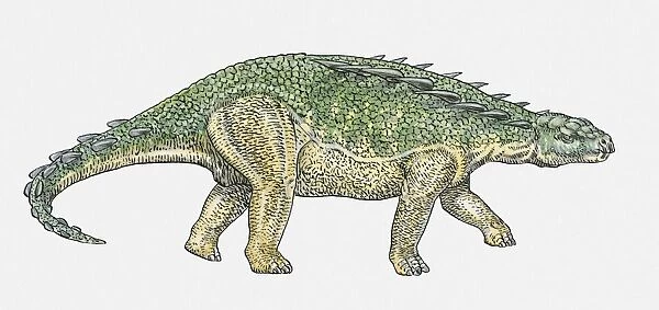 Illustration of Polacanthus ankylosaur dinosaur
