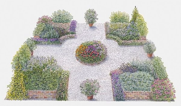 Illustration of pot pourri herb bed in formal garden